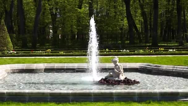 2023 Skulpturen Mit Springbrunnen Branicki Schlossgarten Bialystok Polen — Stockvideo