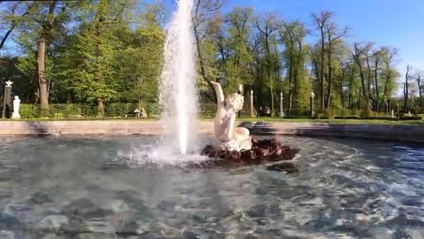 2023 Sculpturen Met Fonteinen Branicki Palace Garden Bialystok Polen — Stockvideo