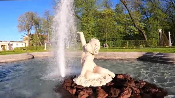2023 Γλυπτά Σιντριβάνια Στον Κήπο Του Branicki Palace Bialystok Πολωνία — Αρχείο Βίντεο