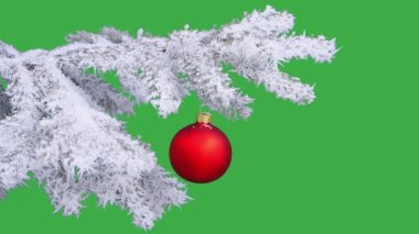 Ormandaki doğal karla kaplı Noel ağacı dalında yeni yıl oyuncağı. yeşil ekran
