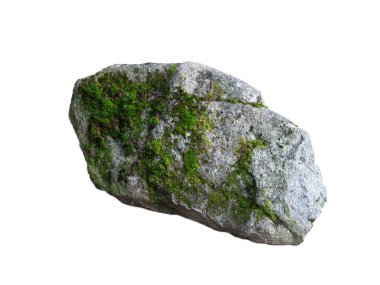 stone covered with moss isolated on white background