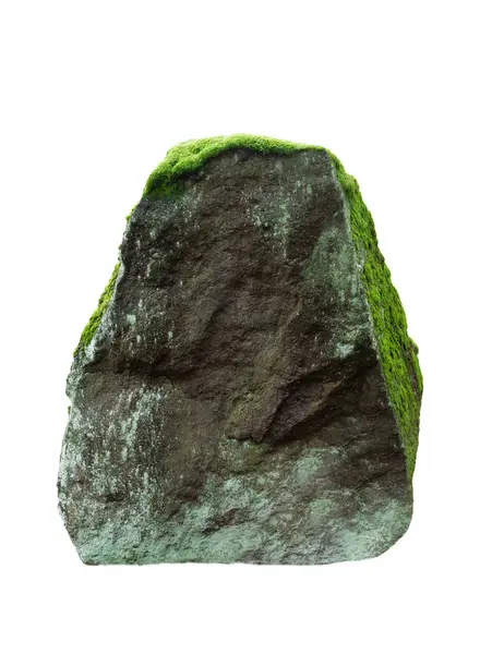 Kamień Pokryty Mchem Izolowanym Białym Tle Obrazek Stockowy