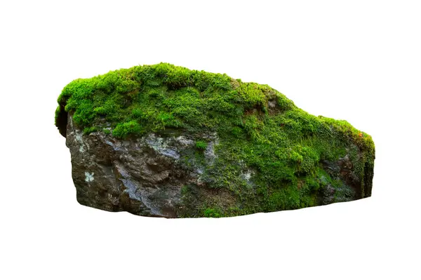 Stone Covered Moss Isolated White Background Stock Photo