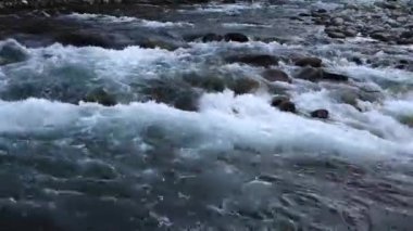 Temiz suyu olan hızlı dağ nehri Bialka. Polonya