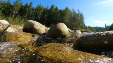 Bialka ve Jaworowy Potok 'un bağlantısı. Jurgow Polonyası.