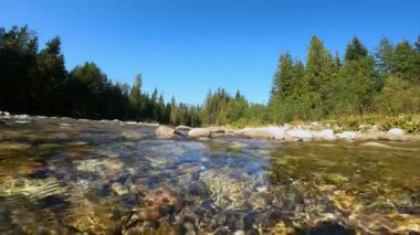Bialka ve Jaworowy Potok 'un bağlantısı. Jurgow Polonyası.