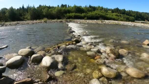 Fast Mountain River Clear Water Bialka Poland Stock Footage