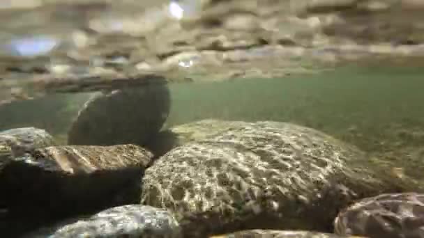 Mountain Fast Flowing Rivers Filled Oxygen Jurgow Poland — Stock Video