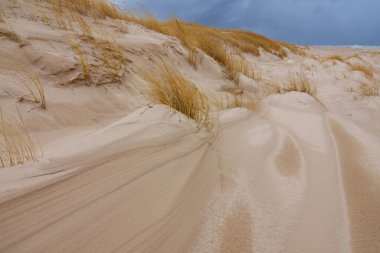 Baltık Denizi kıyısındaki Slowinski Ulusal Parkı 'nın güzel kumul manzarası, Leba. Polonya