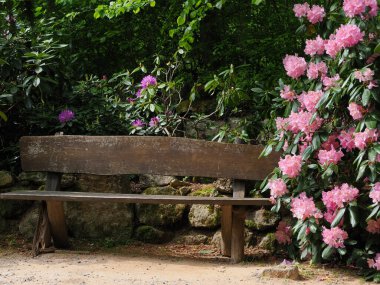 Japon bahçesinde çiçek taşları