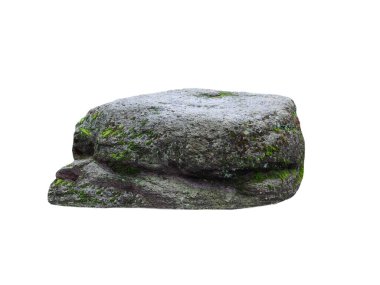 Beyaz arka planda yosun ile kaplanmış ıslak taş