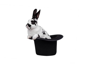 Beyaz arka planda izole edilmiş şapkada oturan tavşan.