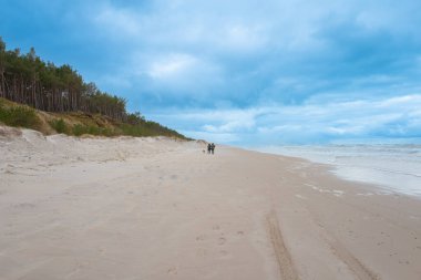 2023-02-26; Baltık Denizi kıyısındaki Slowinski Ulusal Parkı 'nın kış manzarası, Leba. Polonya
