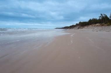 Baltık Denizi kıyısındaki Slowinski Ulusal Parkı 'nın güzel kumul manzarası, Leba. Polonya