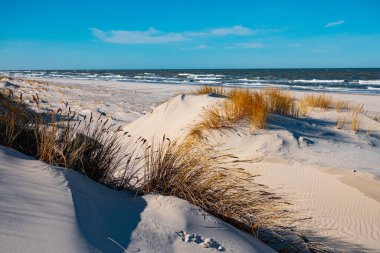 Baltık Denizi kıyısındaki Slowinski Ulusal Parkı 'nın güzel kumul manzarası, Leba. Polonya