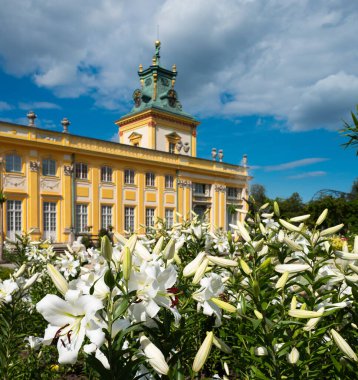 2023-07-11; Varşova 'daki Royal Wilanow Sarayı, Polonya