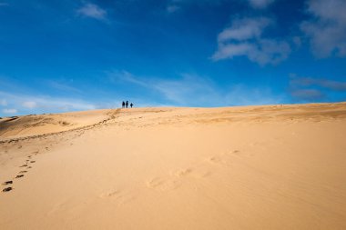 Baltık Denizi kıyısındaki Slowinski Ulusal Parkı 'nın güzel kumul manzarası, Leba. Polonya