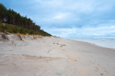 Baltık Denizi kıyısındaki Slowinski Ulusal Parkı 'nın güzel kumul manzarası, Leba. Polonya