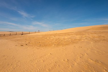 Baltık Denizi kıyısındaki Slowinski Ulusal Parkı 'nın güzel kumul manzarası, Leba. Polonya