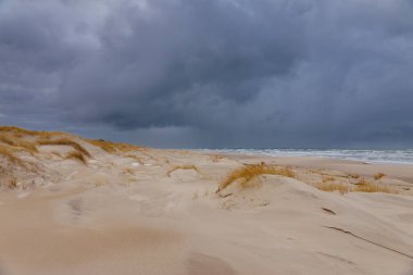 Baltık Denizi kıyısındaki Slowinski Ulusal Parkı 'nın güzel kumul manzarası, Leba. Polonya