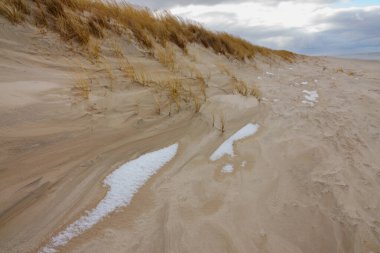 Baltık Denizi kıyısındaki Slowinski Ulusal Parkı 'nın güzel kumul manzarası, Leba. Polonya