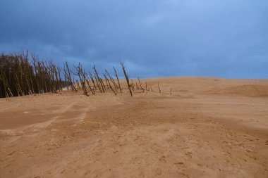 Baltık Denizi kıyısındaki Slowinski Ulusal Parkı 'nın güzel kumul manzarası, Leba. Polonya
