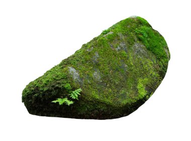 stone covered with moss isolated on white background
