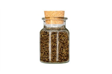 Beyaz zemin üzerinde izole cam kap kimyon