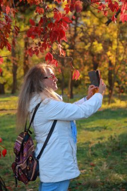 Fotoğrafta, beyaz ceketli genç bir kadın kırmızı bir çantanın içinde cep telefonuyla vahşi üzüm yapraklarının arka planında doğayı fotoğraflıyor..