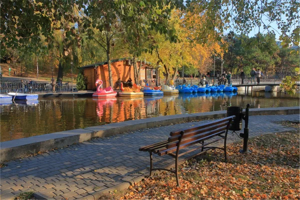 写真はウクライナのオデッサ市で撮影されました この写真は ビクトリーパークと呼ばれる市内の秋の公園の湖のベンチを示しています — ストック写真