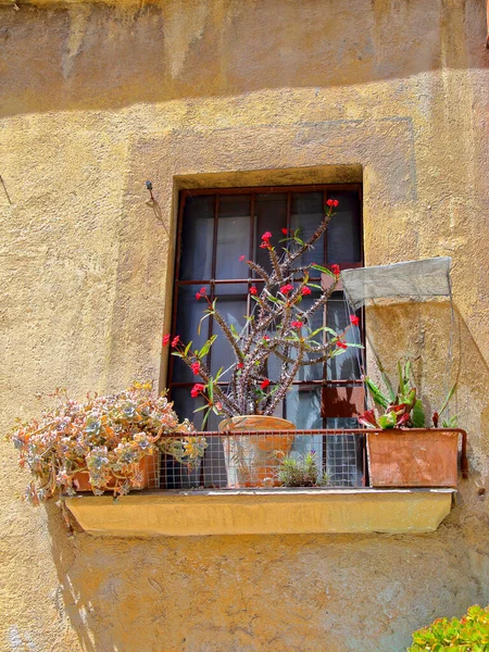 Photo Taken Spanish City Tarragona Picture Shows Window Southern Flowering — Stock Photo, Image