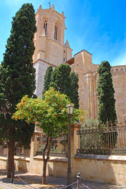 Fotoğrafta, ünlü İspanyol şehri Tarragona 'nın antik mimarisi bahçelerde gömülüdür..