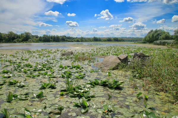 The photo was taken in Ukraine. The picture shows the shallow river bed of the Southern Bug in a hot summer.