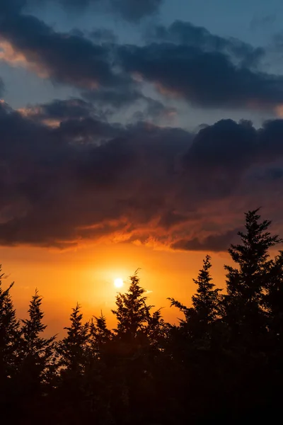 Оранжевое Небо Заката Над Темным Сосновым Лесом Удивительный Вид Дикую — стоковое фото