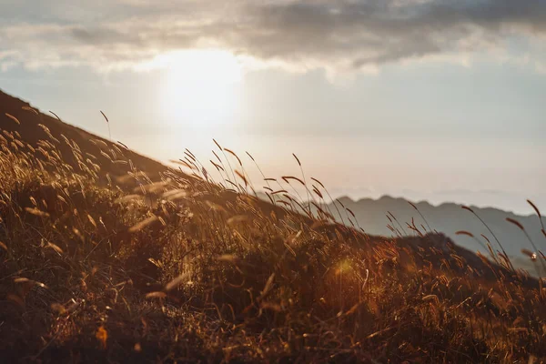 Vackert Landskap Bergig Kulle Täckt Med Kryddor Milt Solnedgångsljus Underbar — Stockfoto