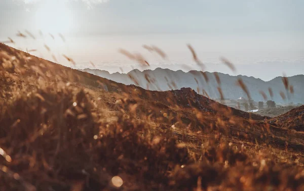 Piękny Krajobraz Górskiego Wzgórza Pokrytego Kolcami Łagodnym Świetle Zachodu Słońca — Zdjęcie stockowe