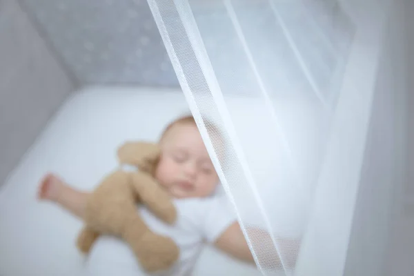 一张有选择的焦点照片 是一个可爱的小孩睡在婴儿床里 在白色柔和的树冠下 带着柔软的玩具熊 在家里过平静的生活 — 图库照片