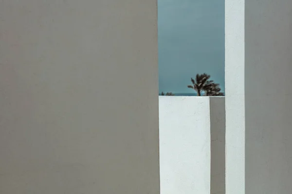 阳光明媚的日子里 一座建筑物的白色墙壁的合影 房屋建筑设计中的简约主义 暑假背景 — 图库照片