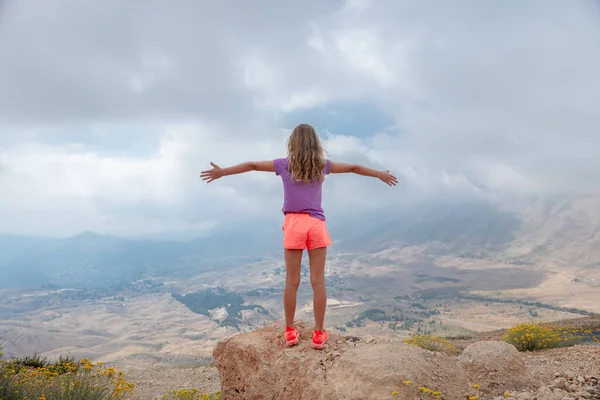 Kaldırılmış Elleri Olan Neşeli Bir Genç Kız Yüksek Dağlarda Manzaranın — Stok fotoğraf