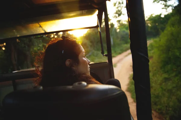 Tourists searching for animals in the jungle. Safari in Sri Lanka surprises, fascinates, and fills with an emotional cocktail. Wild nature is all around. Active people traveling. Eco-tourism.
