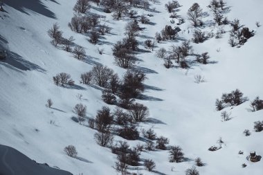 Muhteşem kış manzarası. Karlı dağların soyut arka planı. Lübnan 'ın yüksek dağları açık beyaz karla kaplı dondurucu güneşli bir günde.