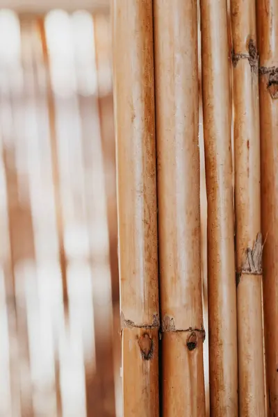 Естественный Деревянный Фон Дизайн Натурального Бамбукового Травяного Материала Известного Всем Лицензионные Стоковые Фото