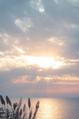 Gün batımında engin okyanusun güzel ve sakin manzarası vahşi sahil bitkilerinin siluetleri tarafından mükemmel çerçevelenmiştir. Dikey çerçeve.