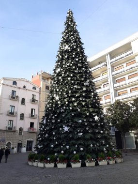 İtalya: Salerno 'daki Noel Ağacı manzarası, 8 Aralık 2022.