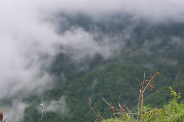 Giffoni Valle Piana 'da sisli dağ manzarası, Güney İtalya, 15 Mayıs 2023.