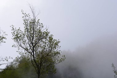 Giffoni Valle Piana 'da sisli dağ manzarası, Güney İtalya, 15 Mayıs 2023.