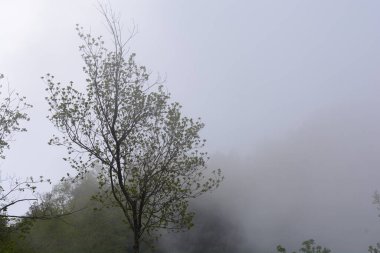 Giffoni Valle Piana 'da sisli dağ manzarası, Güney İtalya, 15 Mayıs 2023.