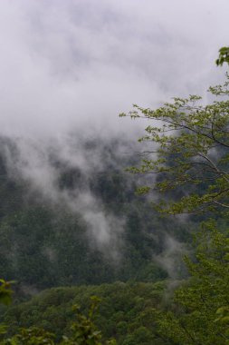 Giffoni Valle Piana 'da sisli dağ manzarası, Güney İtalya, 15 Mayıs 2023.