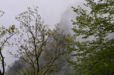 Giffoni Valle Piana 'da sisli dağ manzarası, Güney İtalya, 15 Mayıs 2023.