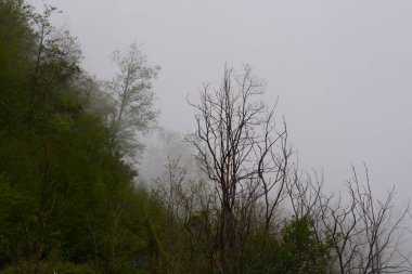 Giffoni Valle Piana 'da sisli dağ manzarası, Güney İtalya, 15 Mayıs 2023.